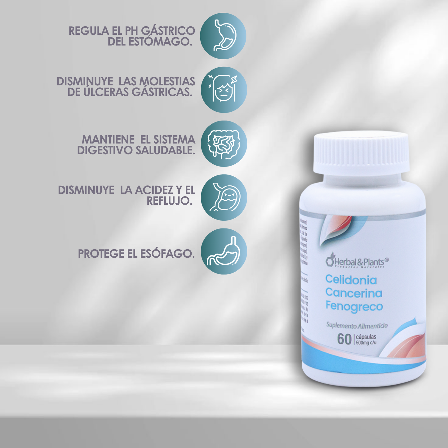 Celidonia + Cancerina