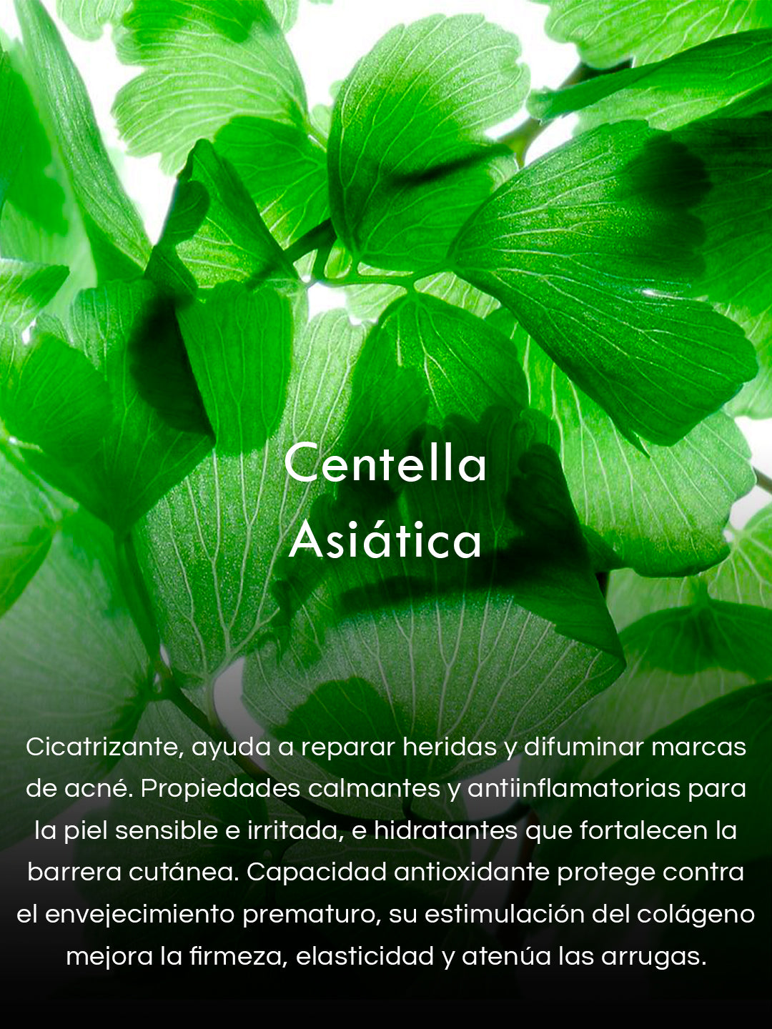 Gel de Algas Marinas