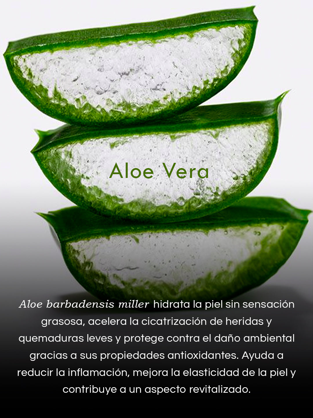 Gel de Algas Marinas