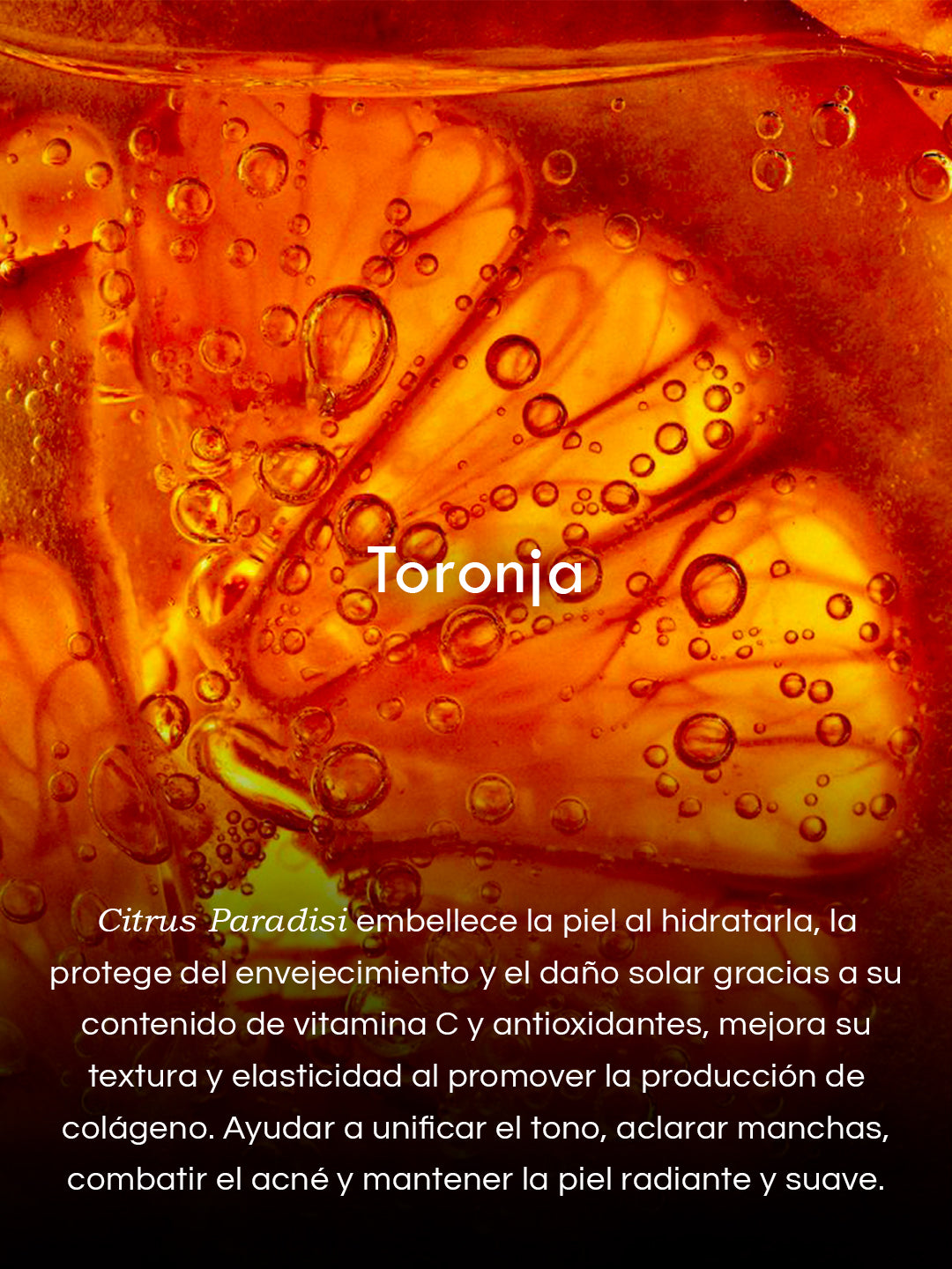 Gel de Algas Marinas