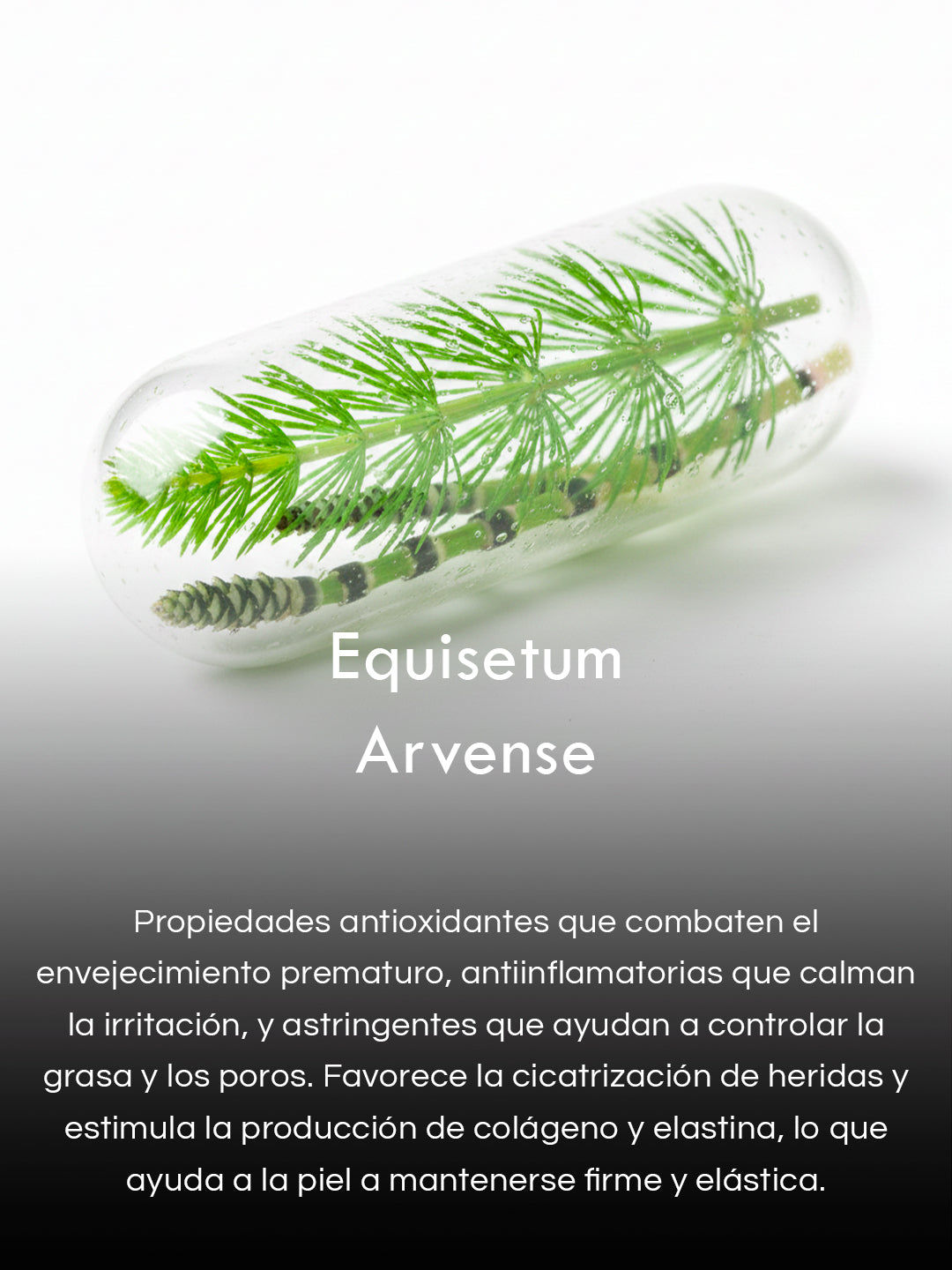 Gel de Algas Marinas