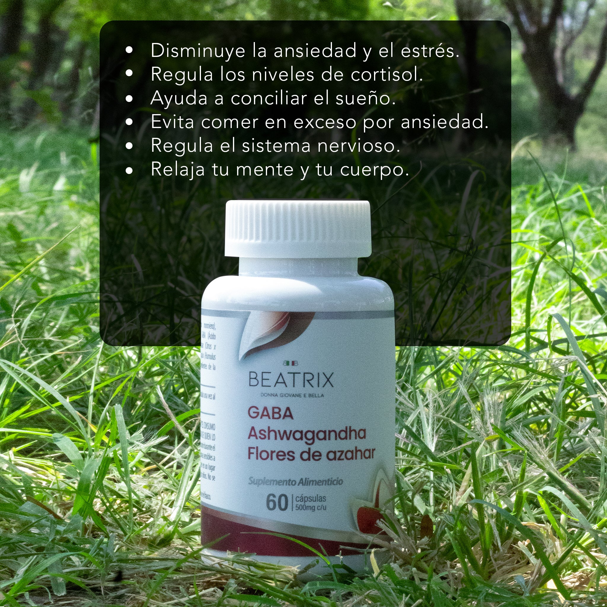 Kit Completo Día & Noche