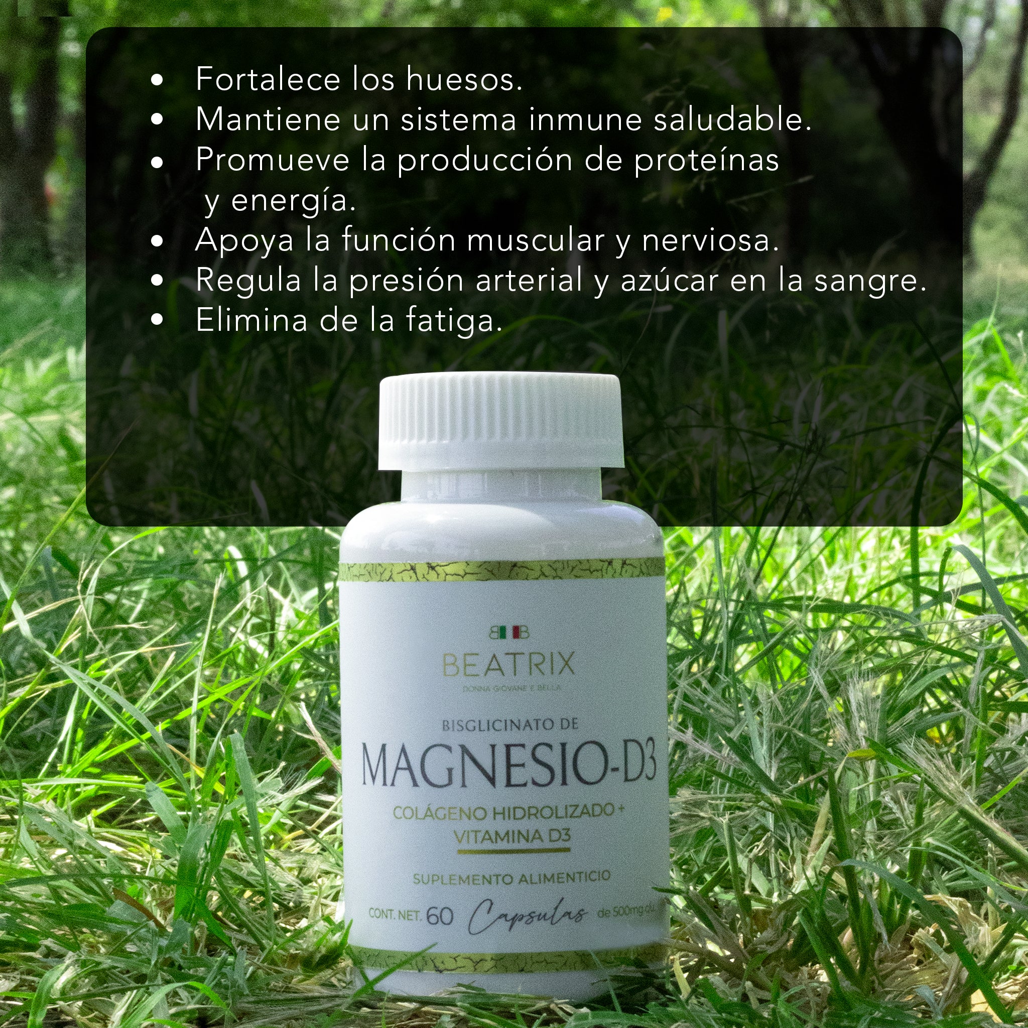 Kit Completo Día & Noche